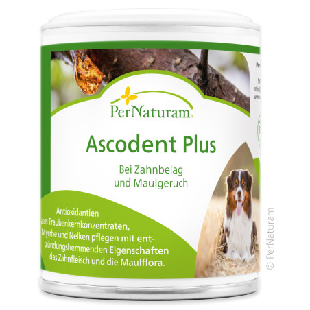PERNATURAM Ascodent Plus - Markt-Apotheke Greiff